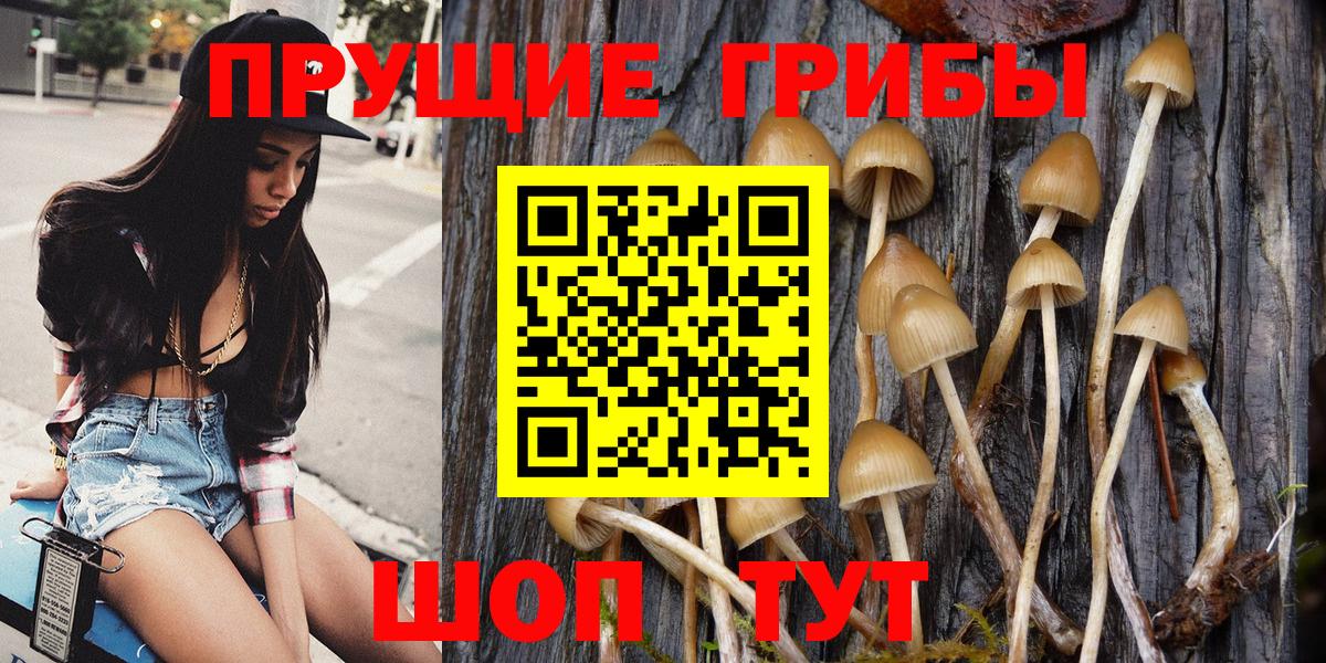 Псилоцибиновые грибы мухоморы  где продают   Зеленодольск  Вход с VPN 