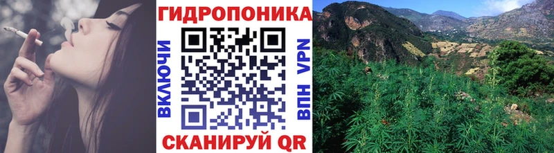 Конопля семена  Зеленодольск 